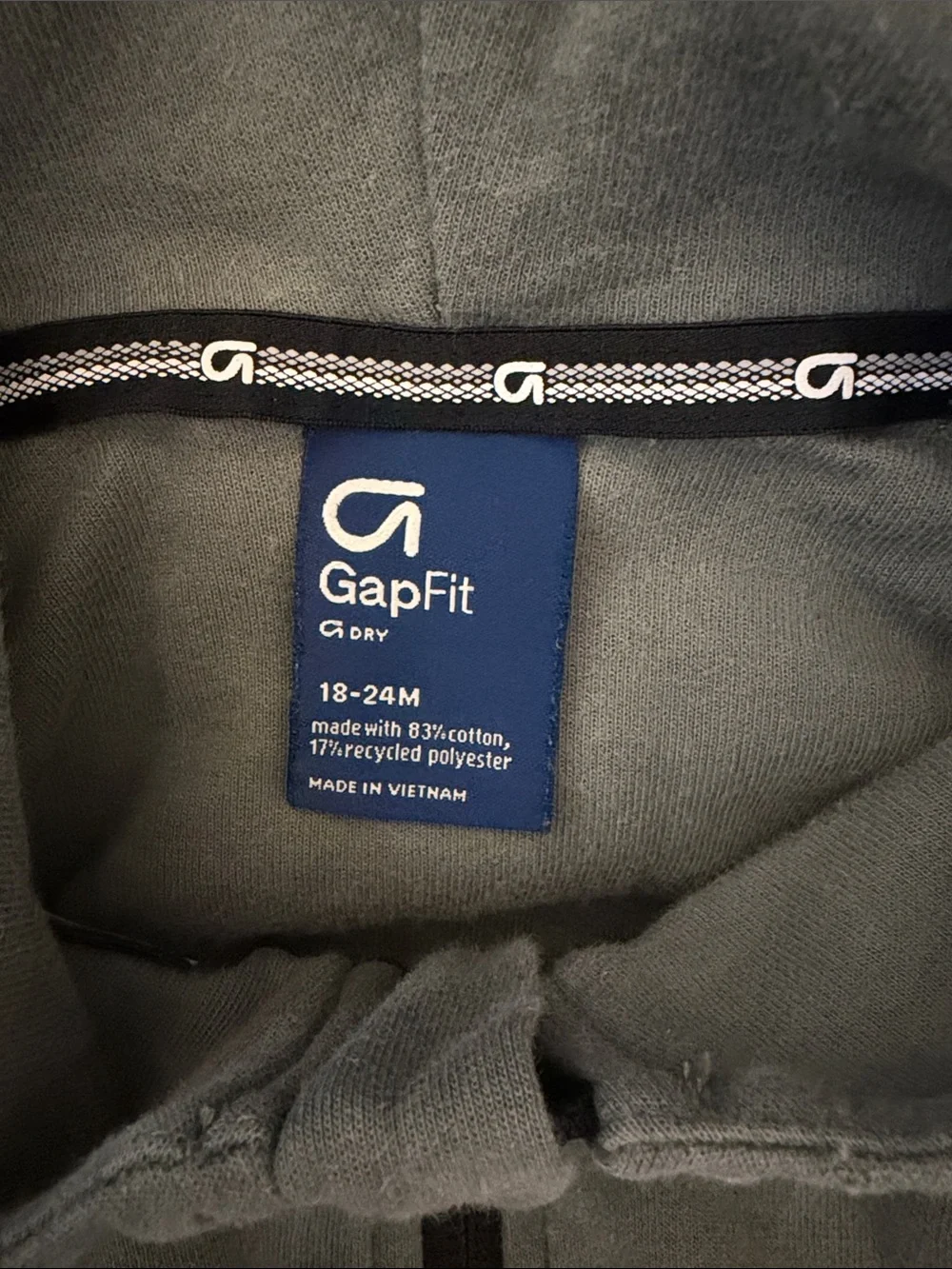 GAP Kids Light Gray Dinosaur Fleece Zip Hoodie